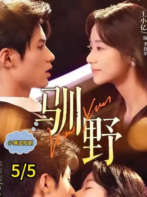 在线观看画质科普 手机免费在线观看指南